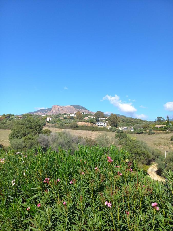 Appartamento Afa Butrone Sarrola Esterno foto